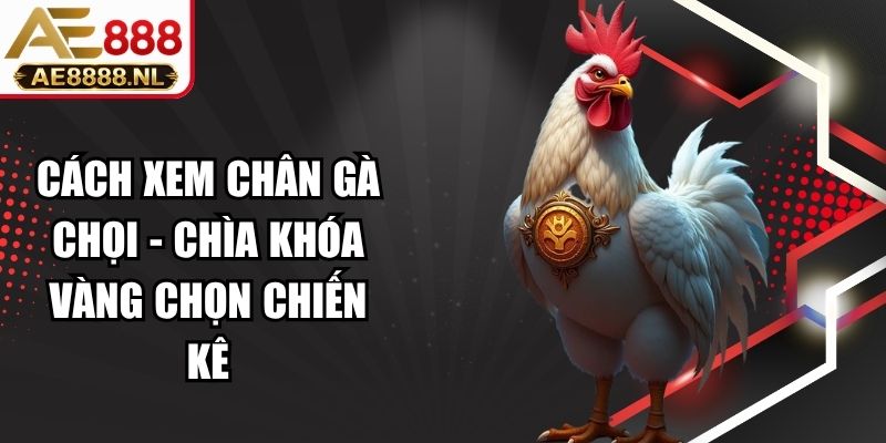 Cách Xem Chân Gà Chọi