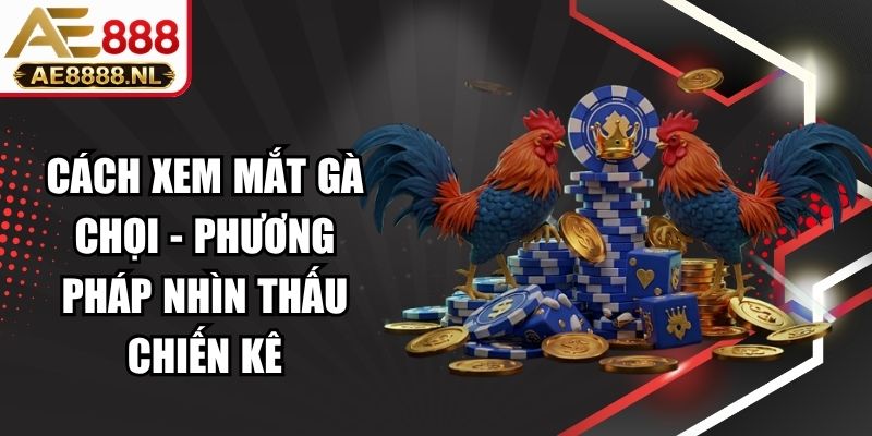Cách Xem Mắt Gà Chọi