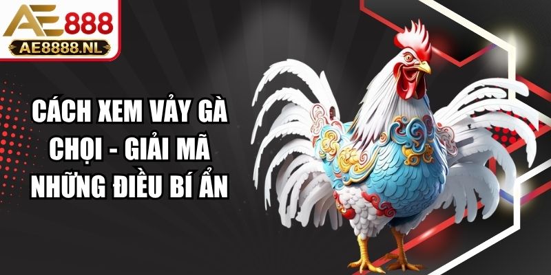 Cách Xem Vảy Gà Chọi