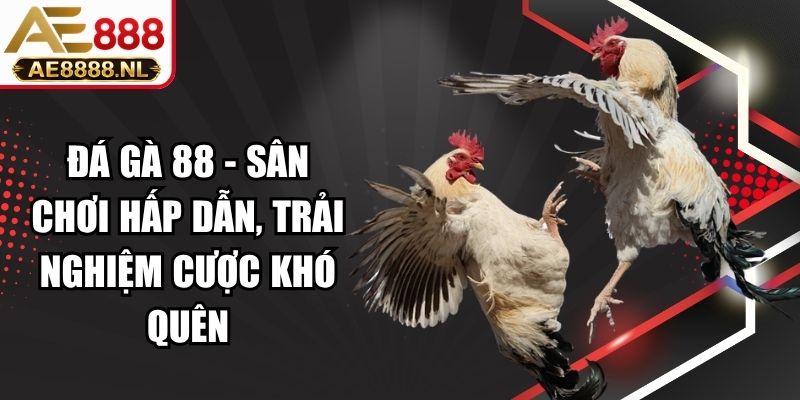 Đá Gà 88