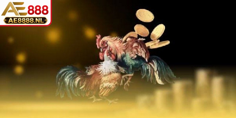 Dành thời gian nghiên cứu, đánh giá toàn diện về nguồn gốc chiến kê