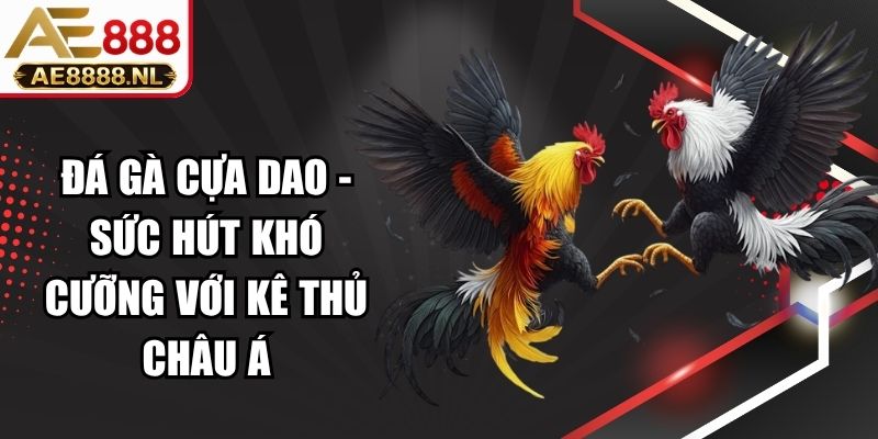 Đá Gà Cựa Dao