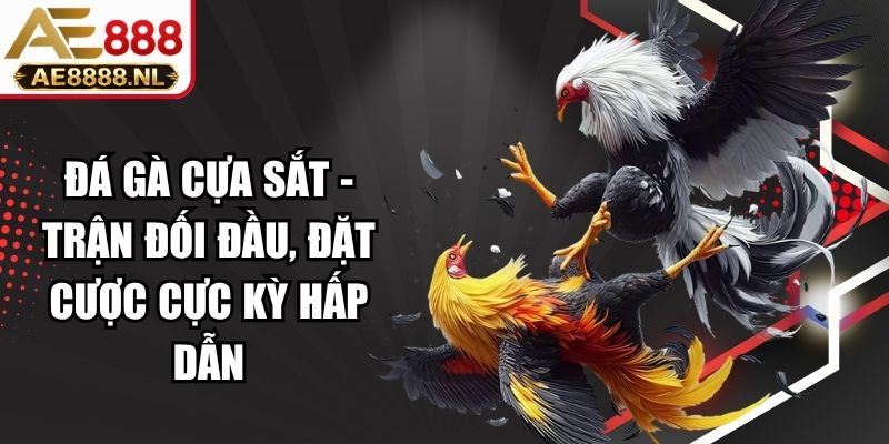 Đá Gà Cựa Sắt