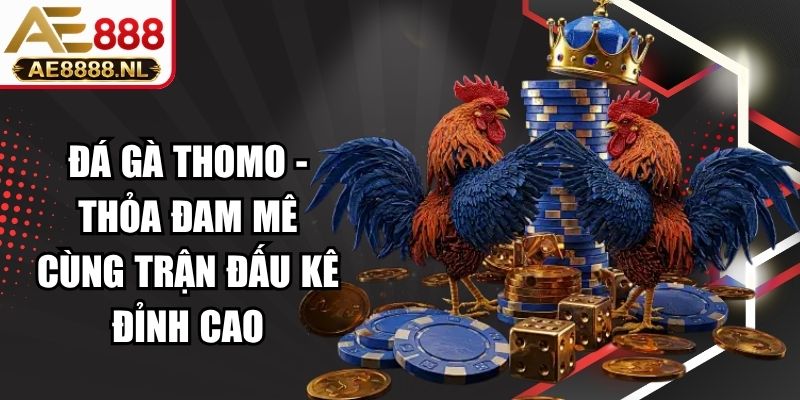 Đá Gà Thomo