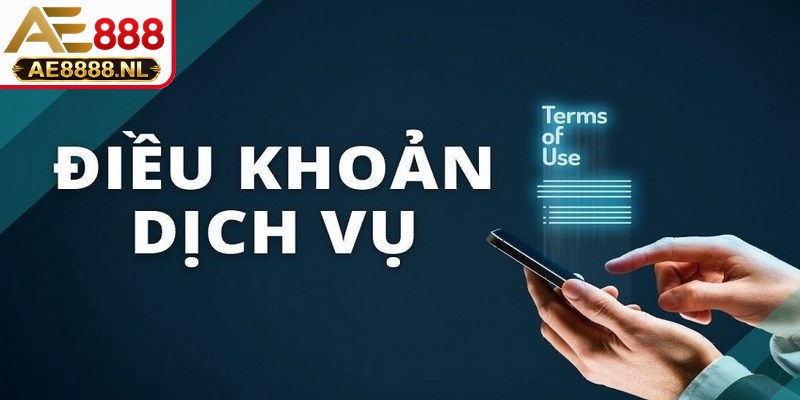 Điều khoản chỉ truy cập hệ thống bằng liên kết chính thống