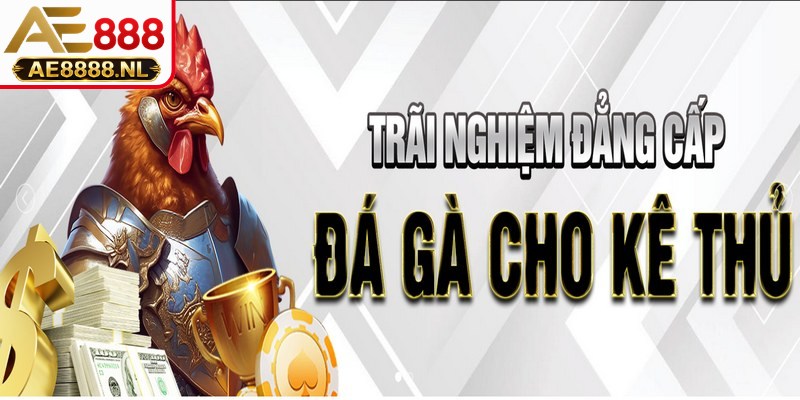 Giới thiệu AE888 là thương hiệu cá cược online uy tín bậc nhất