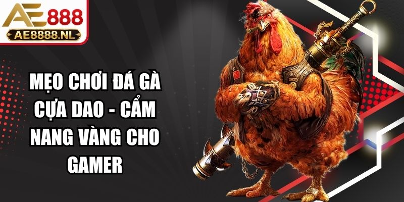 Mẹo Chơi Đá Gà Cựa Dao