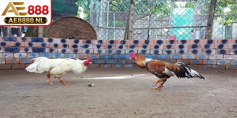 Góc nhìn pháp lý chi tiết theo quy định hiện hành tại Việt Nam