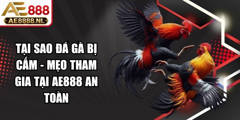 Tại Sao Đá Gà Bị Cấm