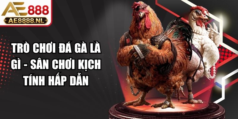 Trò Chơi Đá Gà Là Gì